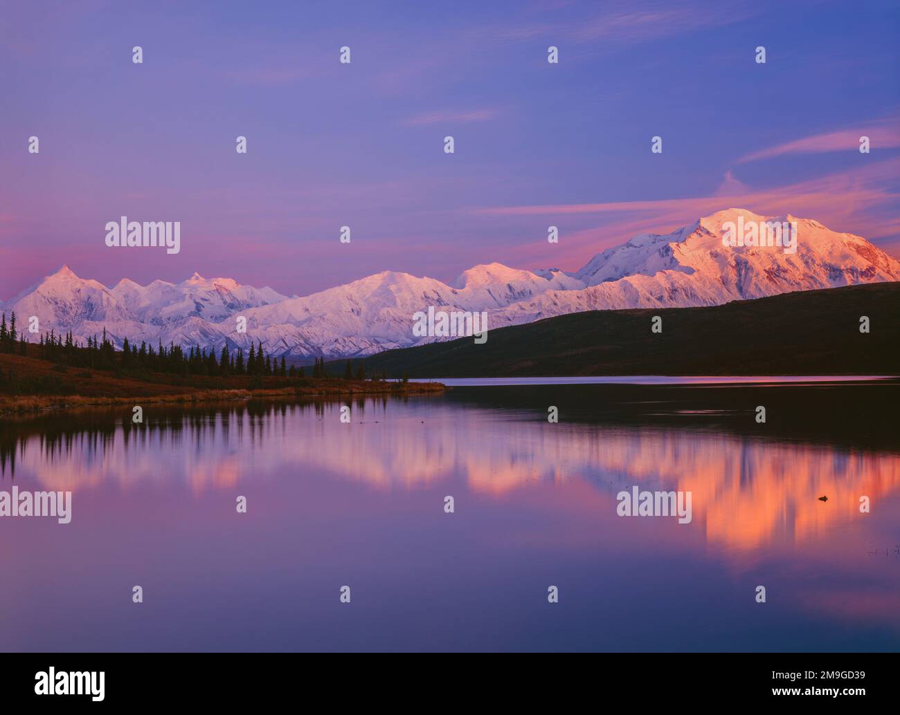 Landscape with lake and snowcapped Denali mountain at sunset, Denali National Park, Alaska, USA Stock Photo