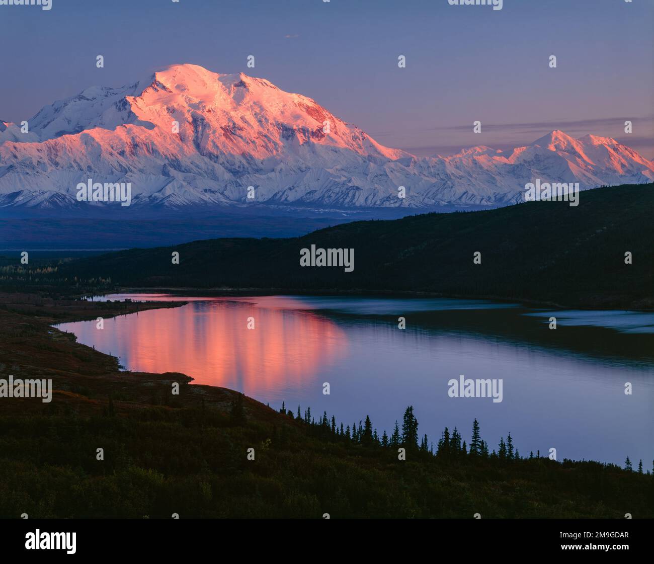 Landscape with Wonder Lake and snowcapped Denali mountain at sunset, Denali National Park, Alaska, USA Stock Photo