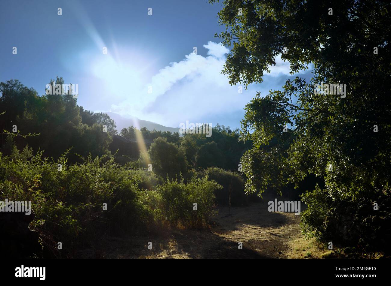 morning landscape dramatic sky with smoke of Mount Etna eruption and ...