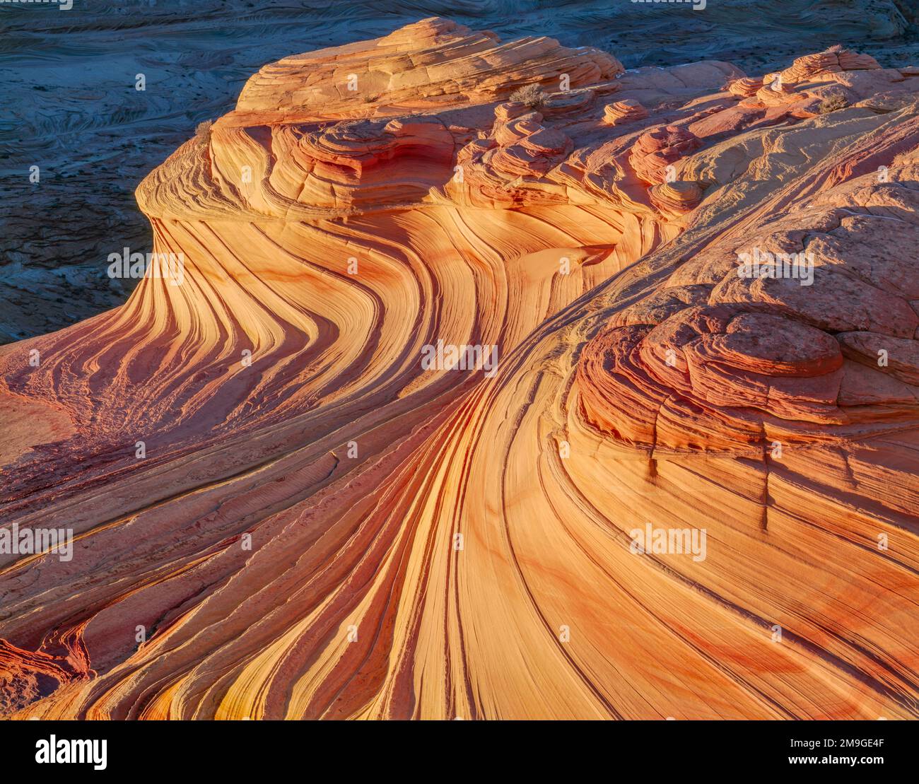 Wind sculpted petrified sandstone sand dune, Paria Canyon, Vermilion Cliffs Wilderness Area, Arizona, USA Stock Photo