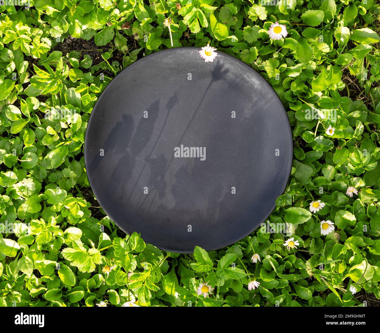 empty black plate on green meadow background, top view Stock Photo