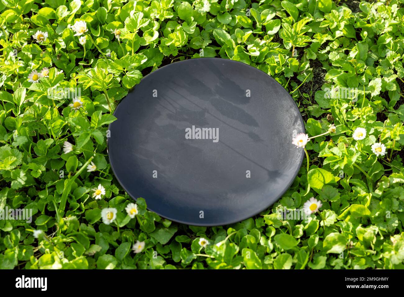 empty black plate on green meadow background Stock Photo