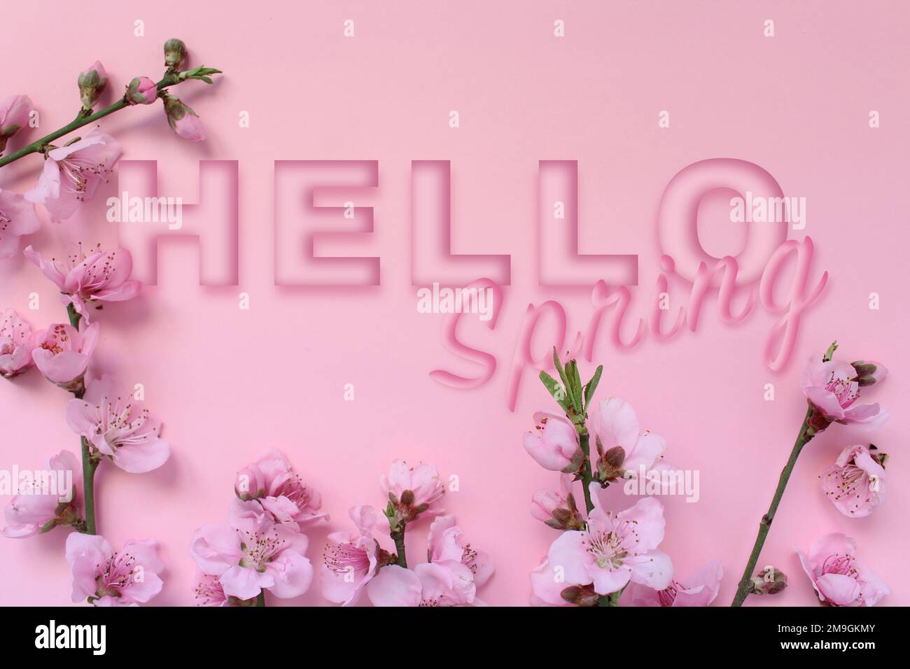 Spring concept idea. Blossom tree branch and text 'Hello Spring' isolated on pink background. Stock Photo