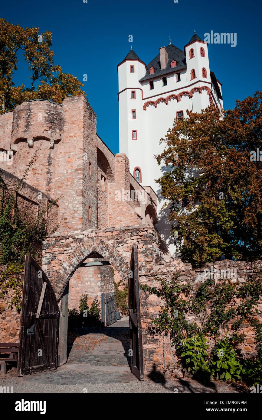 A vertical shot of the Electoral Castle of Eltville in Hesse, Germany ...