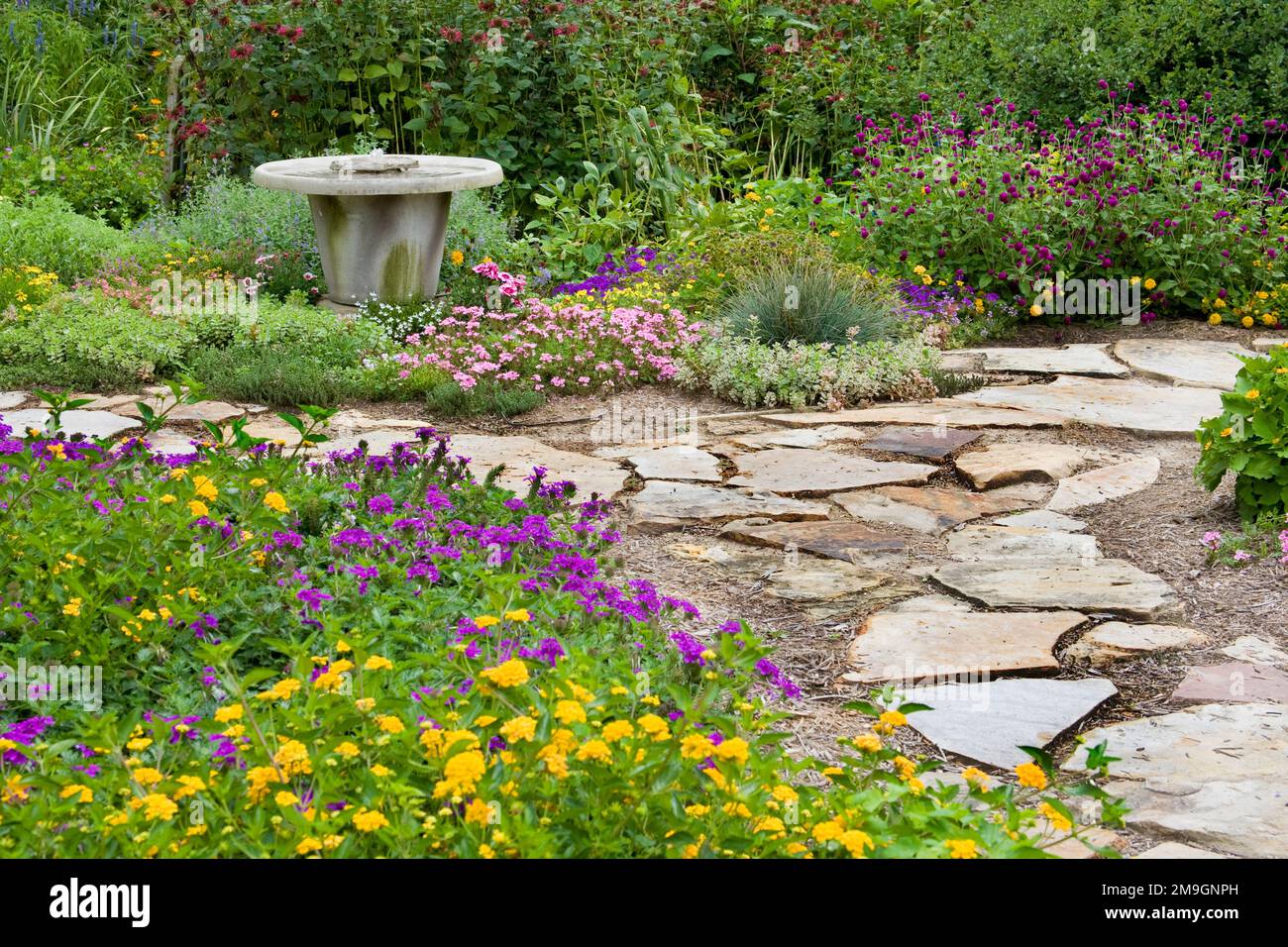 63821-19408 Flower garden with stone path, birdbath. Homestead Purple Verbena, yellow lantana, sedum, Gomphrena IL Stock Photo