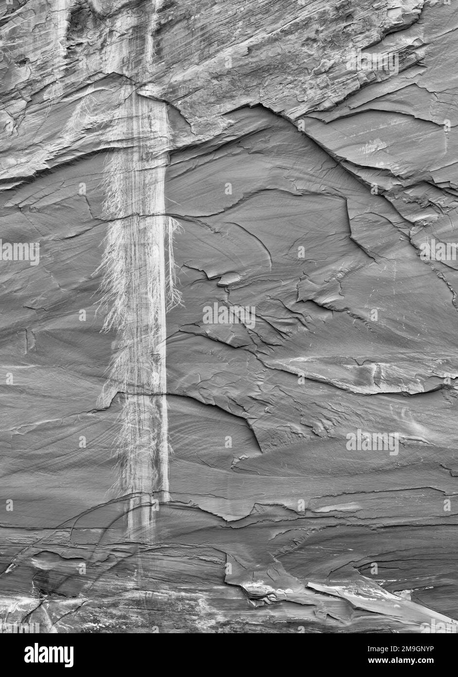 Black and white photograph of sandstone rock face, Grand Staicase