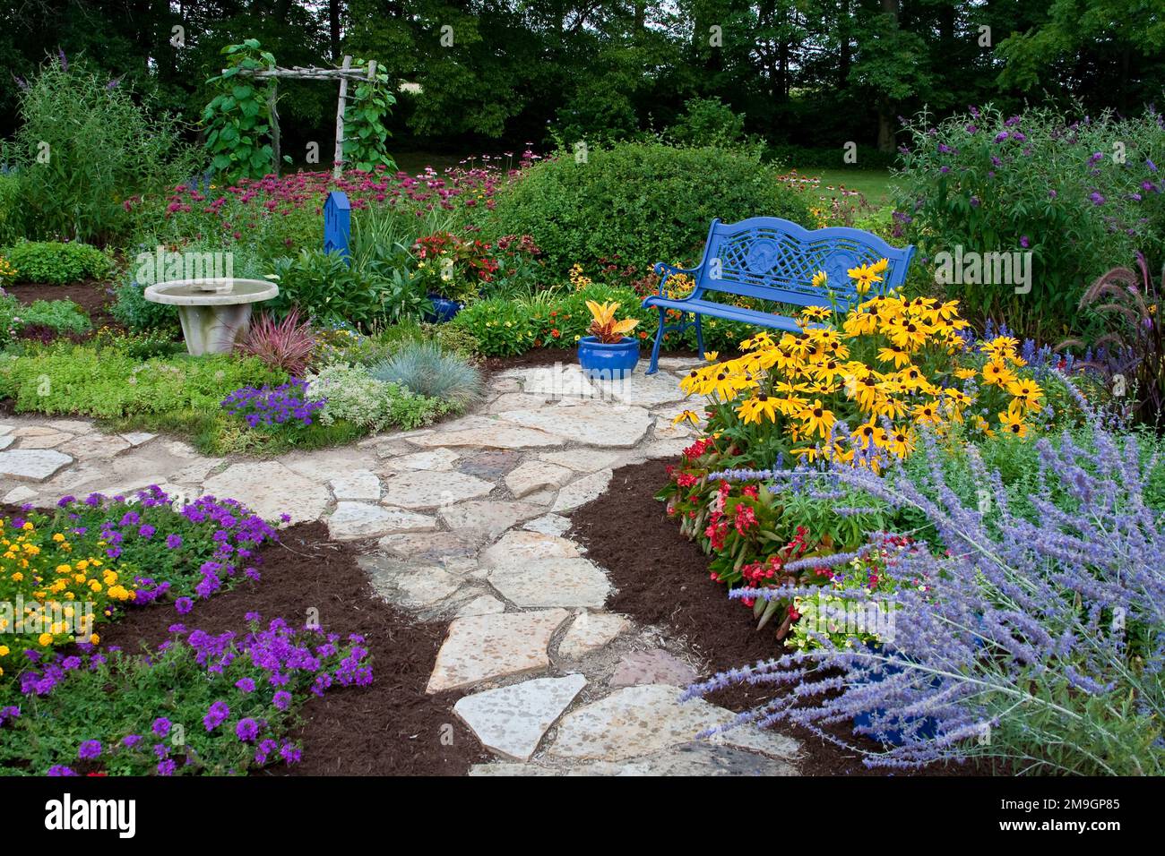 63821-21802 Blue bench, blue pots, butterfly house, bird bath and stone path in flower garden.  Black-eyed Susans (Rudbeckia hirta) Red Dragon Wing Be Stock Photo