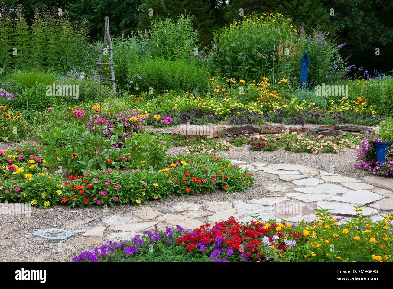 63821-21912 Flower garden with stone paths, blue pots, birdhouse, obelisk.  Black-eyed Susans (Rudbeckia hirta), zinnias, red & purple verbenas (Verbe Stock Photo