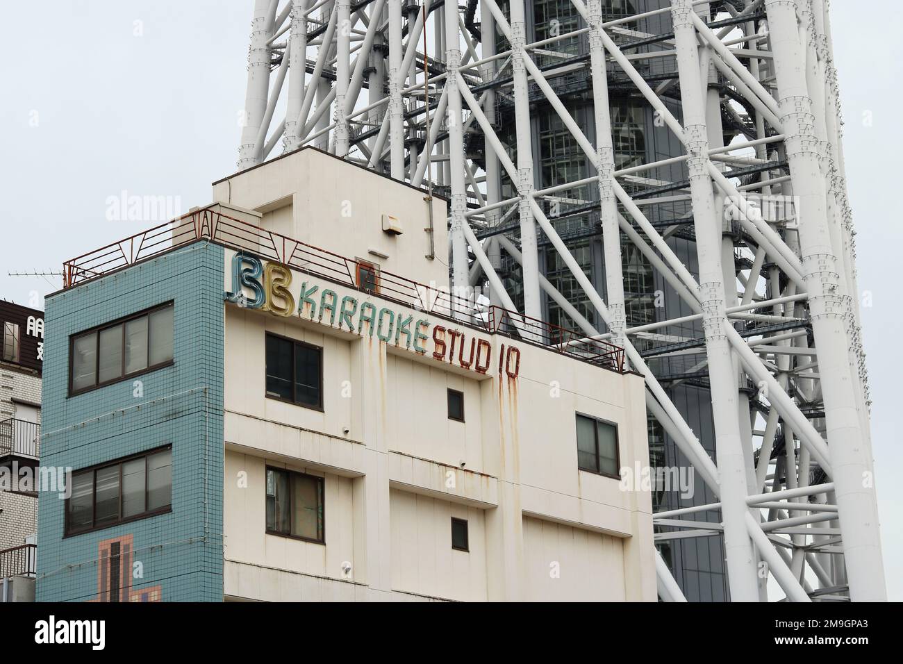 8 - Karaokekan, Karaoke boxes in Tokyo are like trees in a …