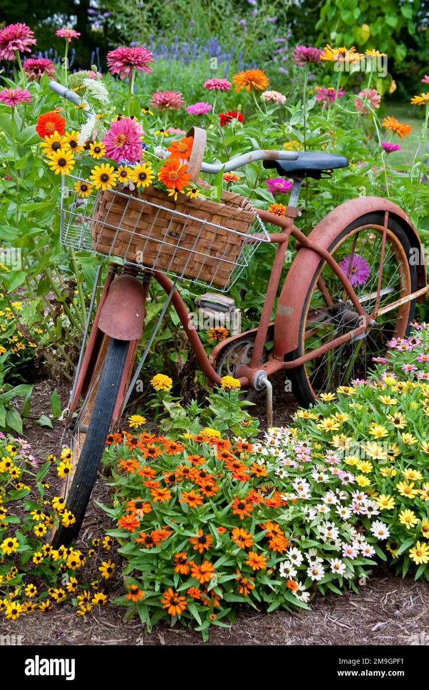 【中古】［CD］Nostalgic Garden 63821-22207 Old bicycle with flower basket in garden with zinnias