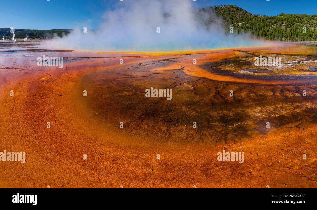 Grand Prismatic Spring, Middle Geyser Basin, Yellowstone National Park, Wyoming, USA Stock Photo