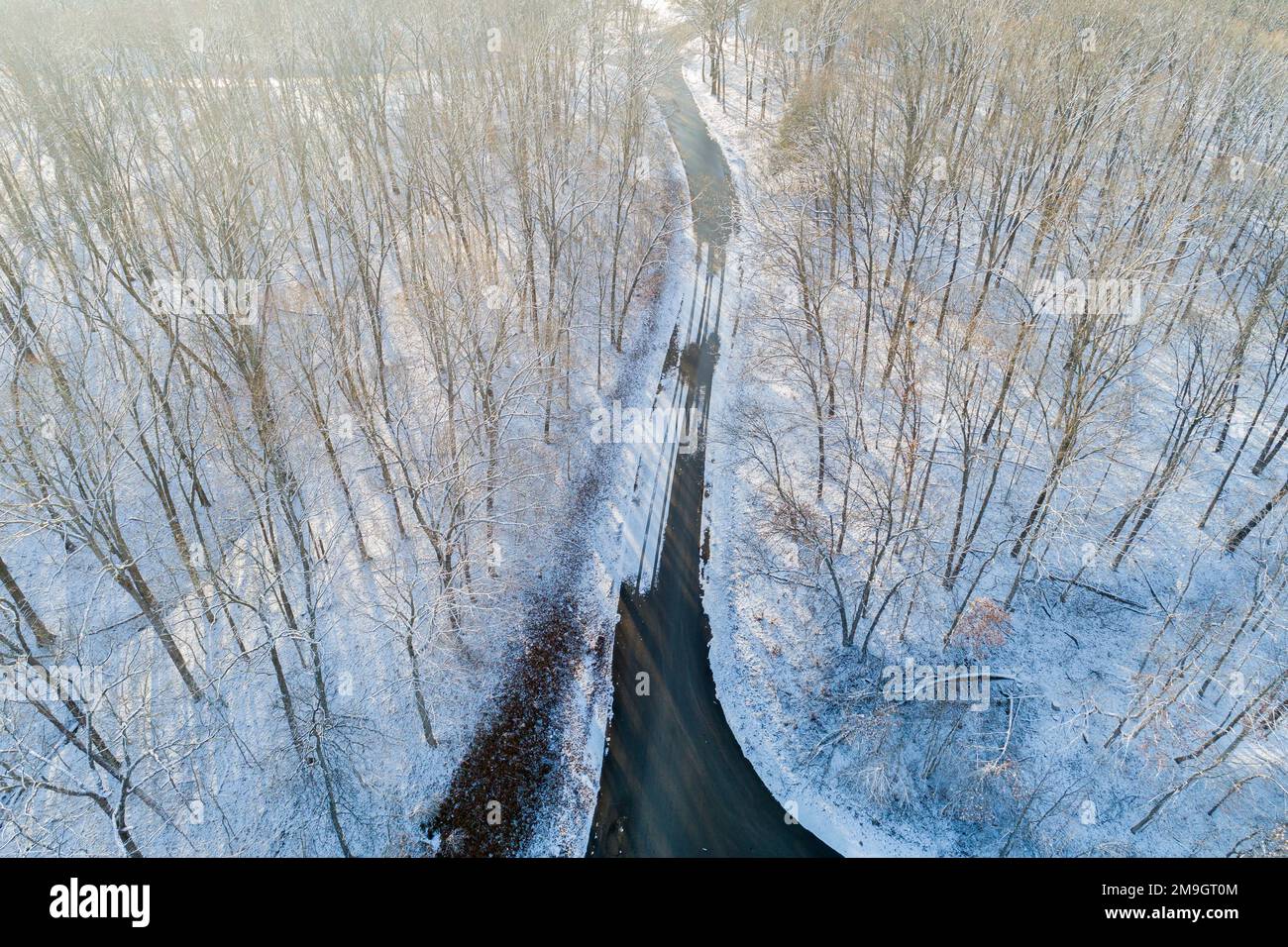 63877-01304 Aerial view of forest and road after snowfall in winter Stephen A. Forbes St. Park Marion Co. IL Stock Photo