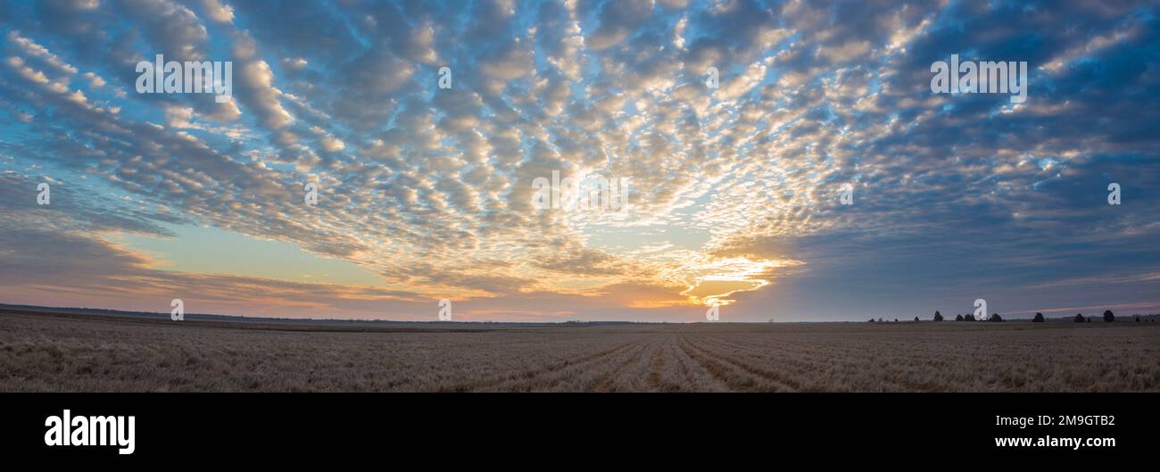 Prairie Rig 63893-02518 Sunrise at Prairie Ridge State Natural Area, Marion County ...