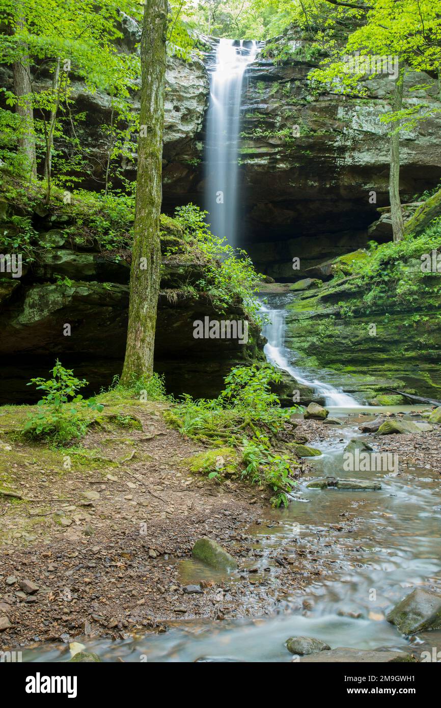 63895-14705 Waterfall at Ferne Clyffe State Park, Johnson Co. IL Stock Photo