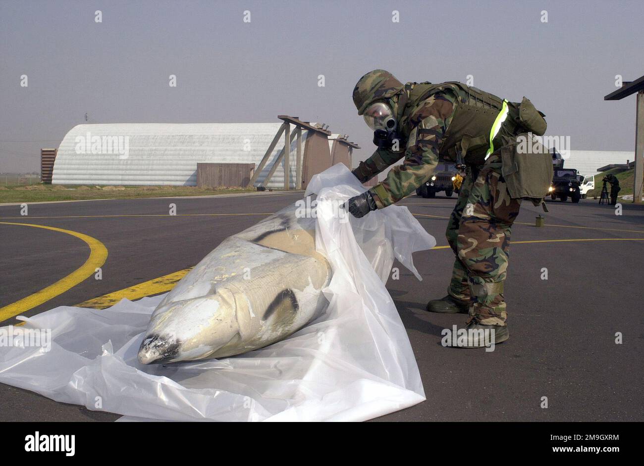 SENIOR AIRMAN (SRA), Joe Deslauriers, USAF, 51st Maintenance Squadron