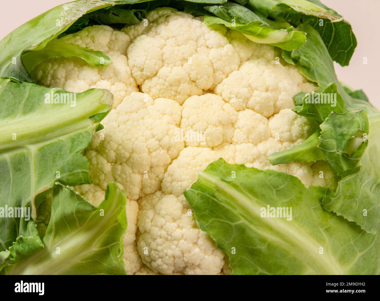 cauliflower head with leaves Stock Photo Alamy