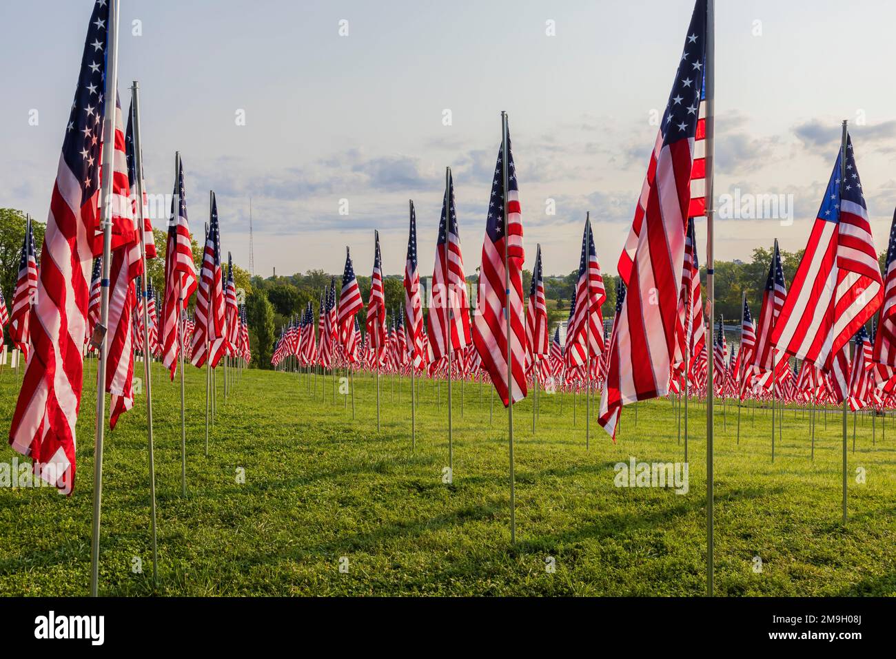 6509503316 Flags of Valor display on Art Hill by St. Louis Art Museum