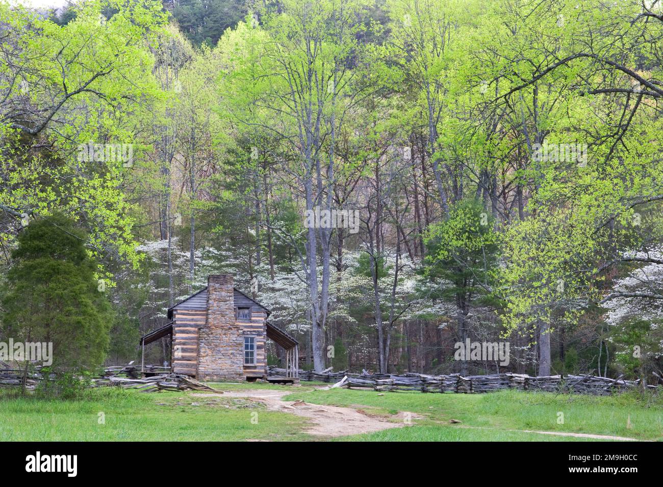 66745-04320 John Oliver Cabin in spring, Cades Cove area, Great Smoky Mountains National Park, TN Stock Photo