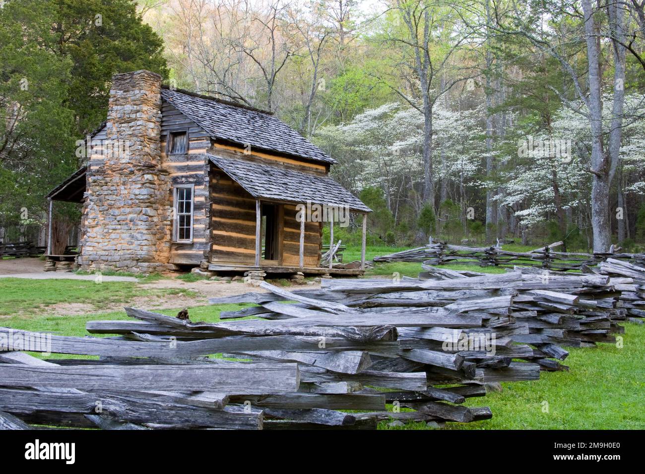66745-04314 John Oliver Cabin in spring, Cades Cove area, Great Smoky Mountains National Park, TN Stock Photo