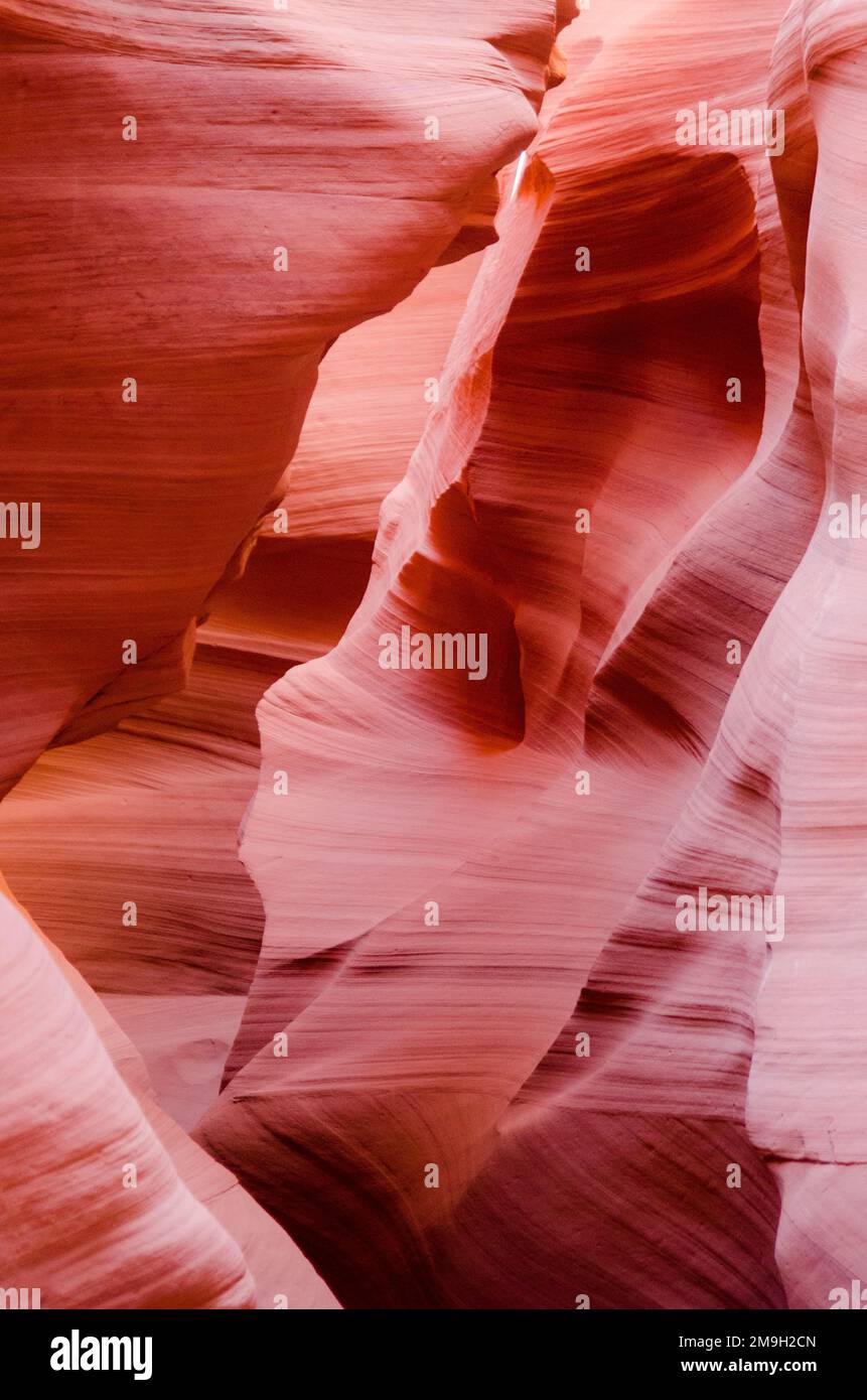 A vertical shot of the beautifully smooth and red sandstone walls of Antelope Canyon in Arizona, USA Stock Photo