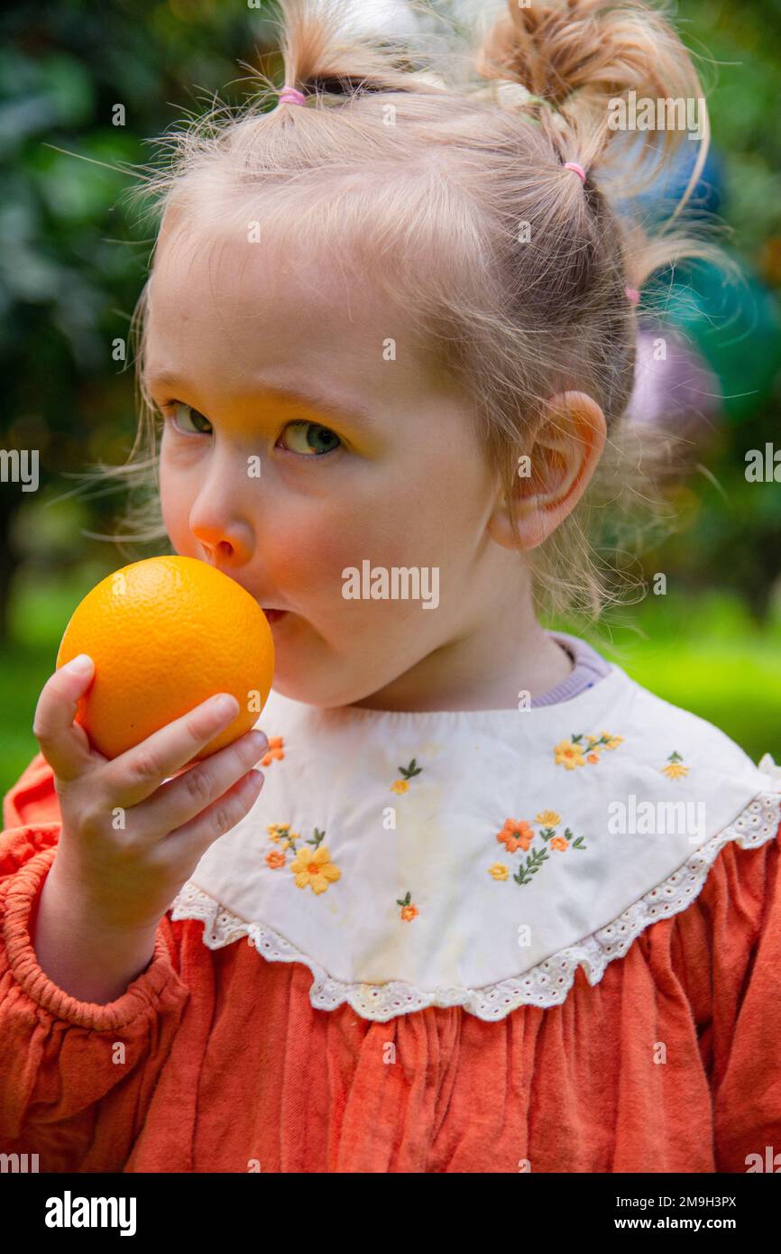 Beautiful Girl in the Orange Garden and ripe oranges on the branches of ...