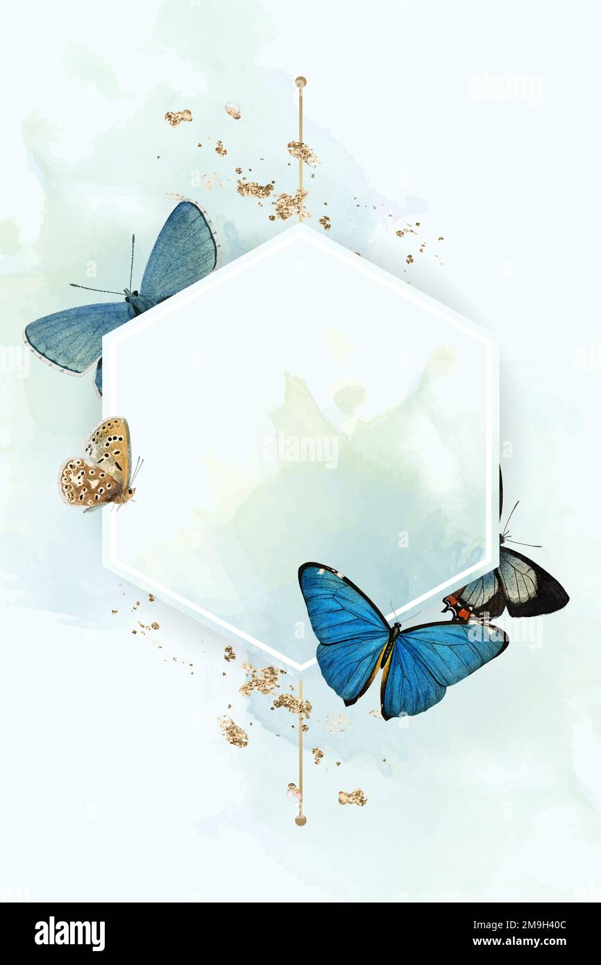 Hexagon frame with blue butterflies patterned background vector Stock ...