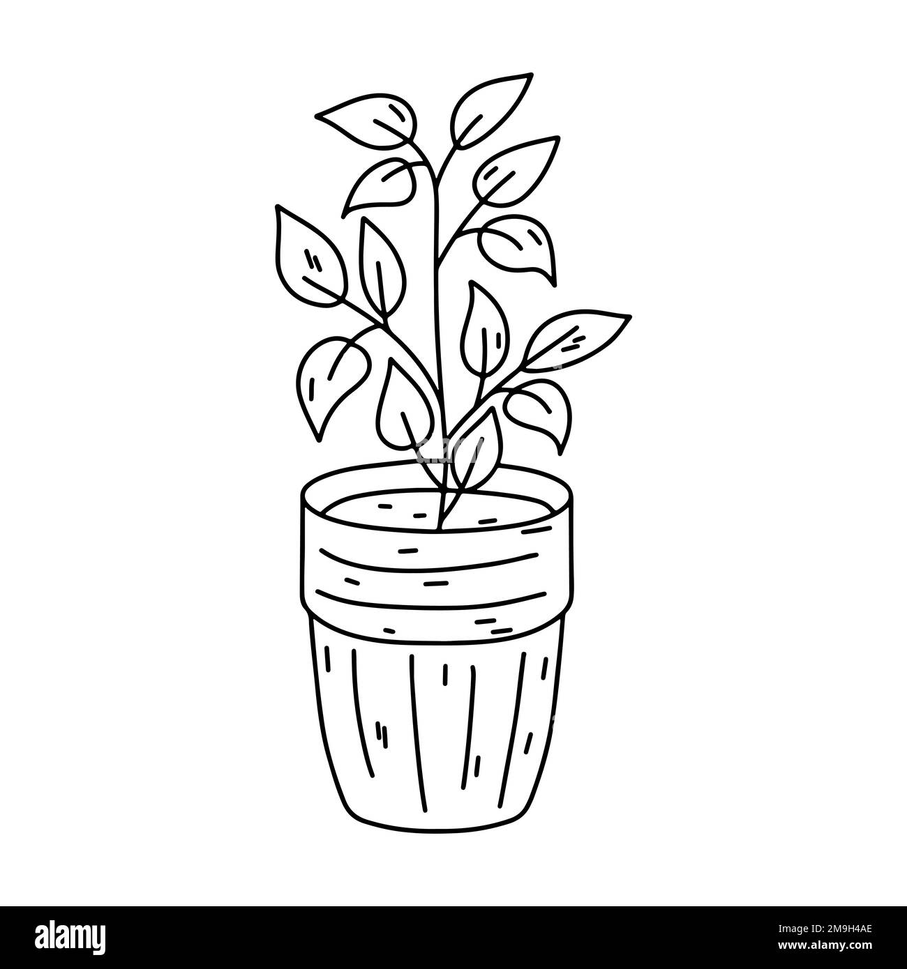 House plant in ceramic pot in hand drawn doodle style. Decorative potted house plant sketch illustration for print, web, mobile and infographics isola Stock Vector