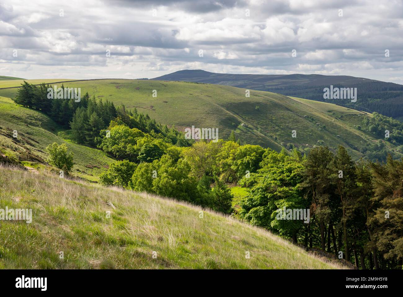 View from Rowlee Pasture above the Snake Pass with Win Hill in the distance. Peak District national par, Derbyshire, England. Stock Photo