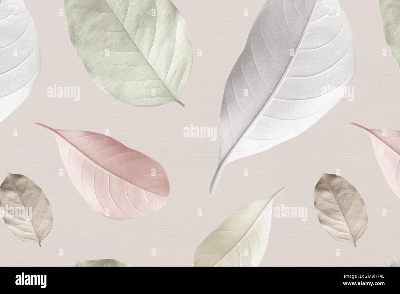 Plumeria leaves isolated on Stock Vector Images - Alamy
