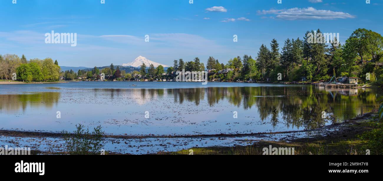 Blue Lake with Mount Hood in background, Oregon, USA Stock Photo