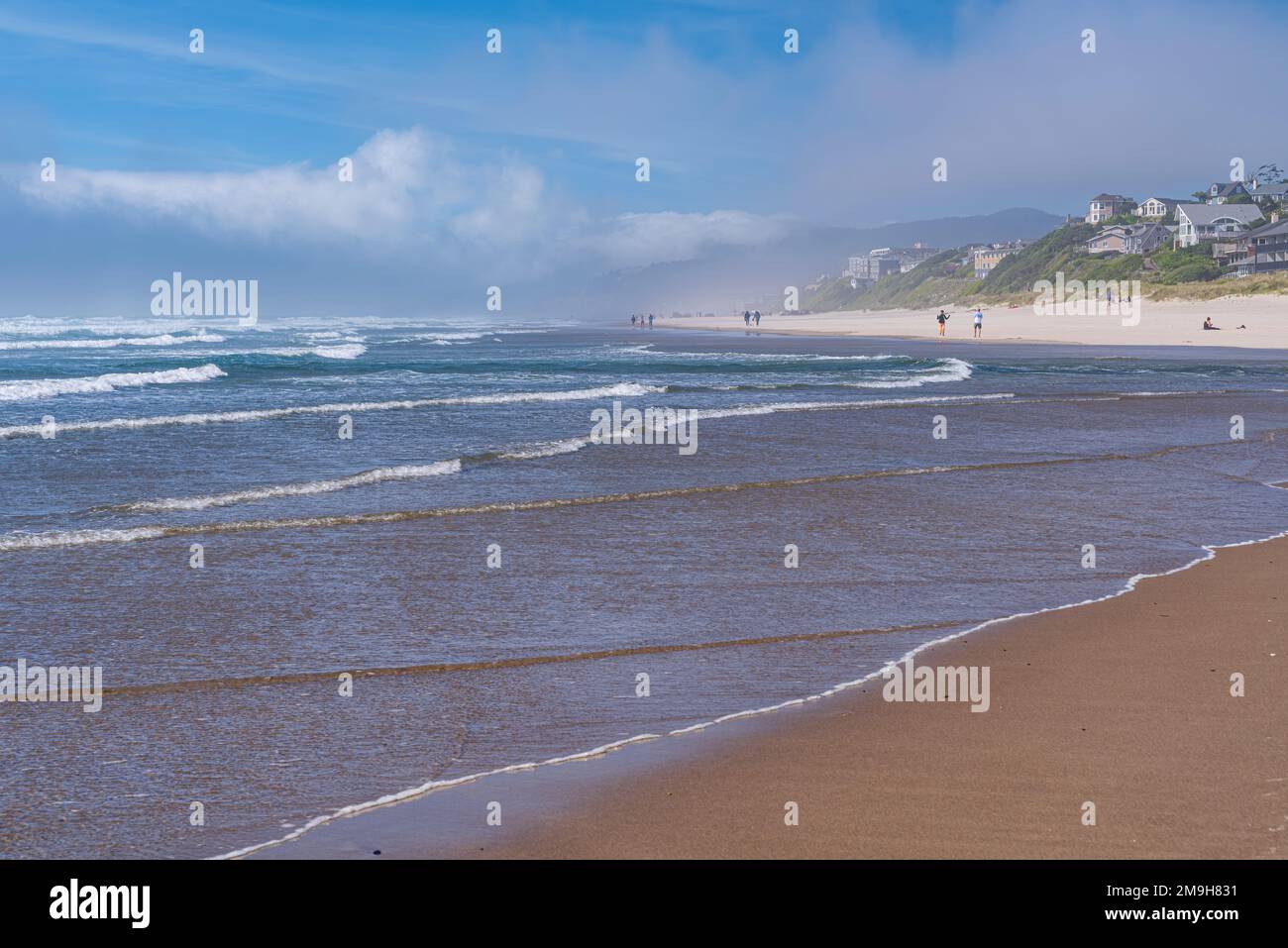 Sea waves stroking sandy beach, Oregon, USA Stock Photo