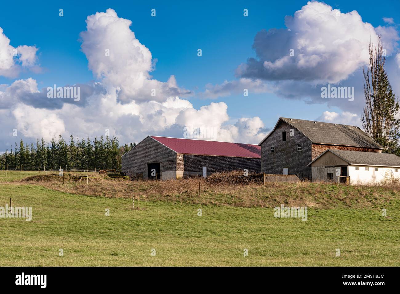 Rural scene with three barns, Oregon, USA Stock Photo