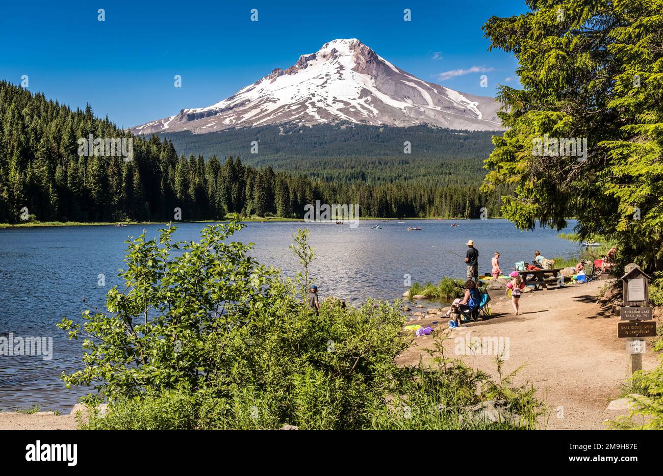 Trillium Lake with Mount Hood in background, Oregon, USA Stock Photo