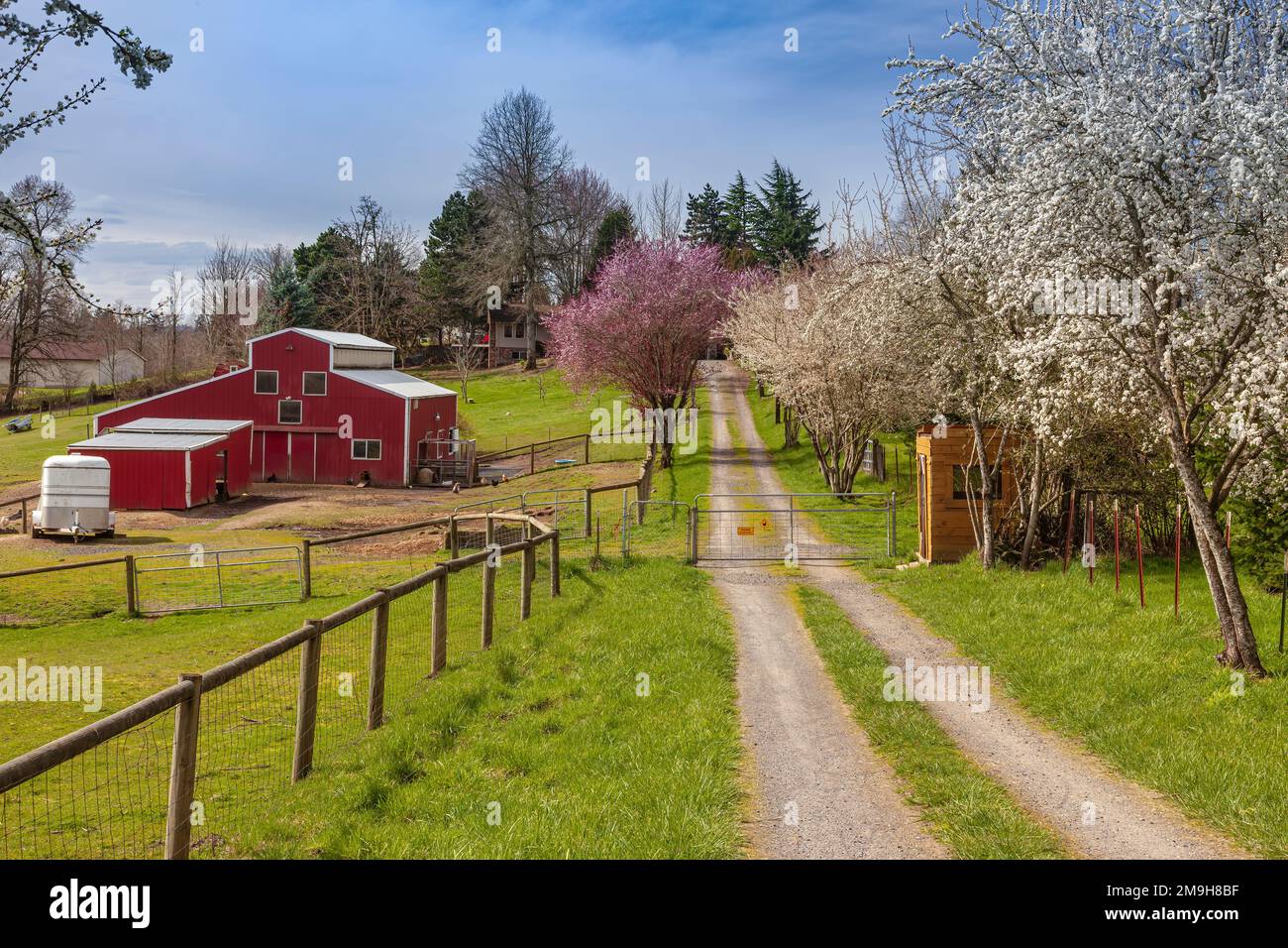 Dirt road through rural landscape in springtime, Oregon, USA Stock Photo