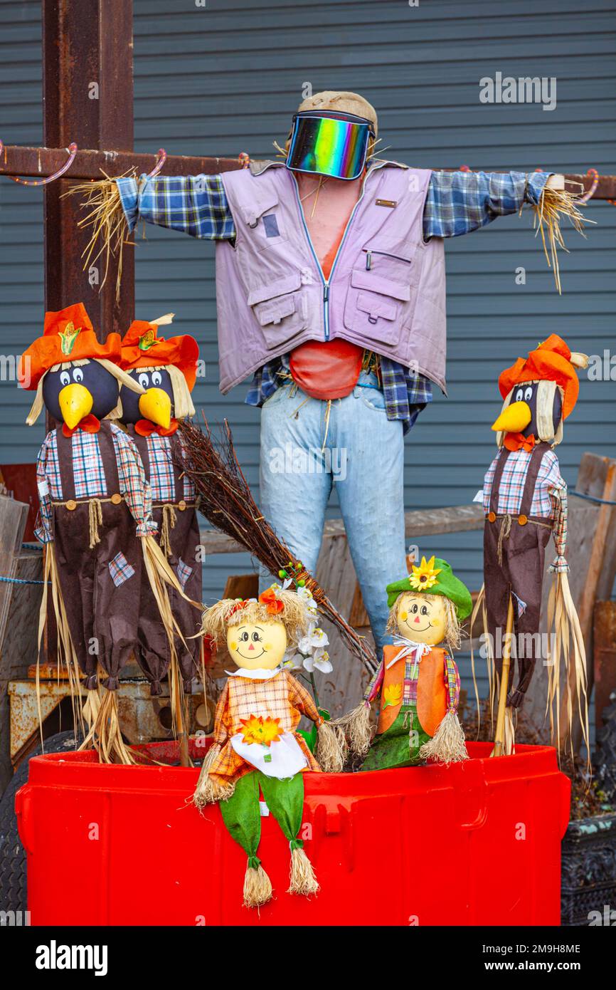 Harvest themed display in Steveston British Columbia Canada Stock Photo