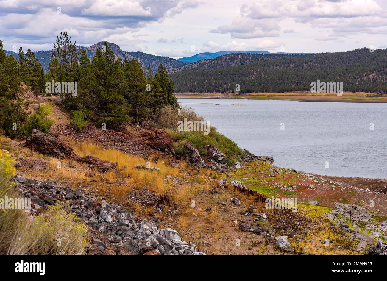 Landscape with lakeshore, Prineville, Oregon, USA Stock Photo