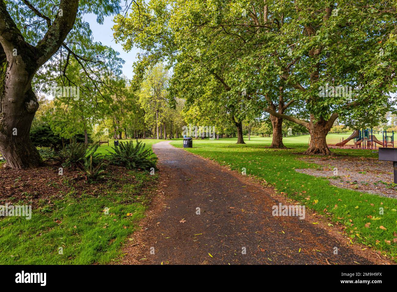 Footpath and green trees in public park, Oregon, USA Stock Photo