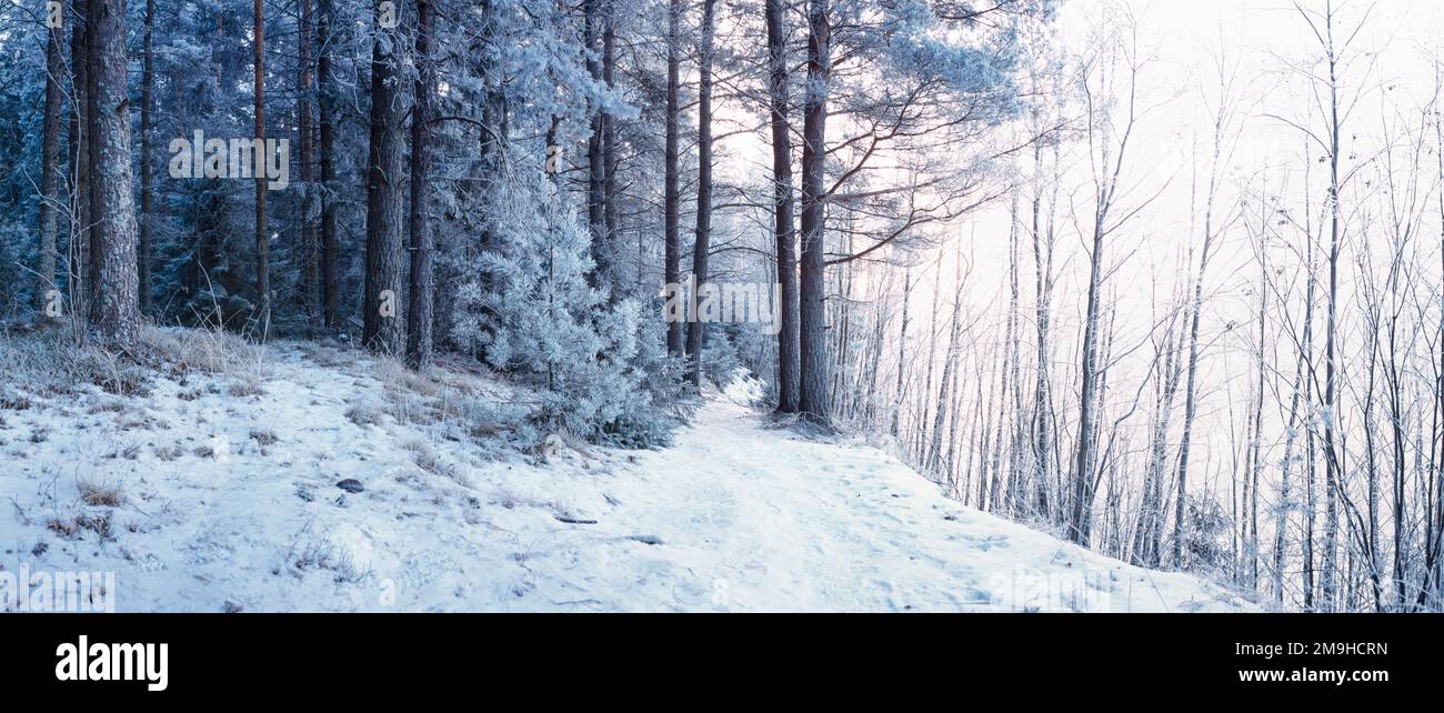 Landscape with forest on hillside in winter, Ulvila, Satakunta, Finland Stock Photo