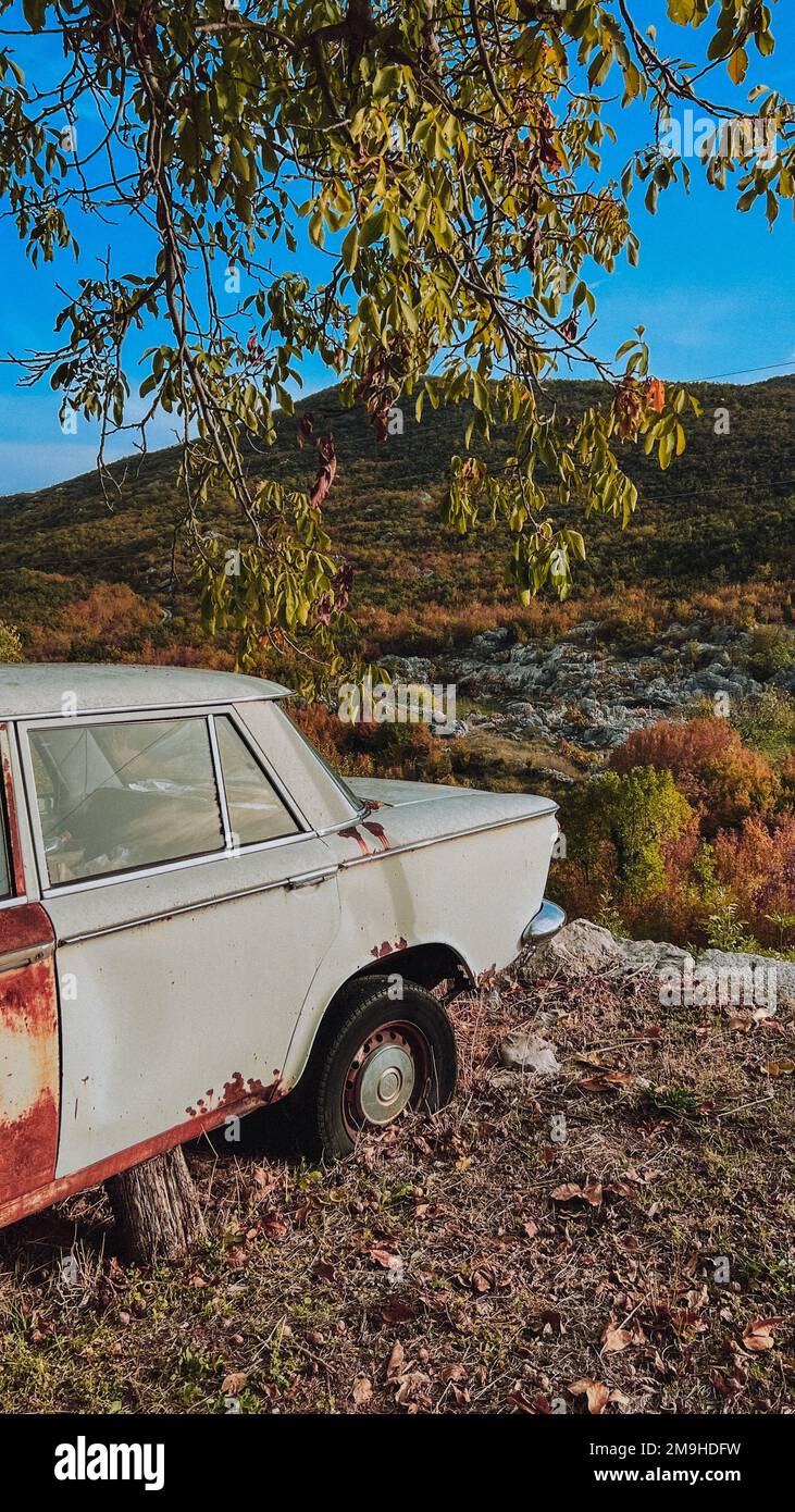An old abandoned car under the tree Stock Photo - Alamy