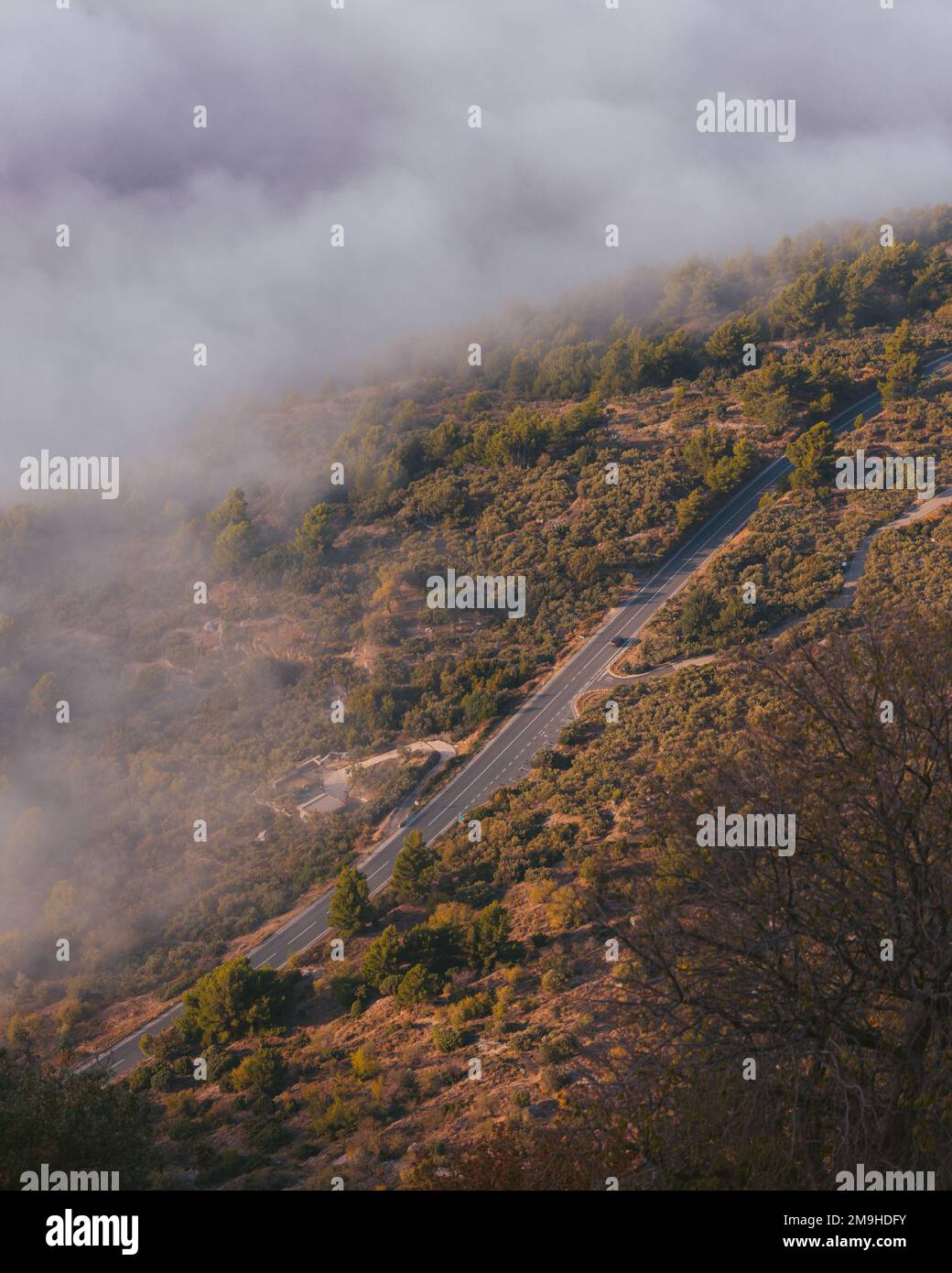 An aerial view of a road surrounded by trees and fog Stock Photo - Alamy