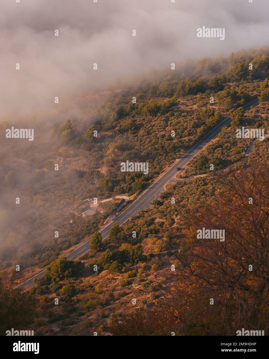 An aerial view of a road surrounded by trees and fog Stock Photo - Alamy