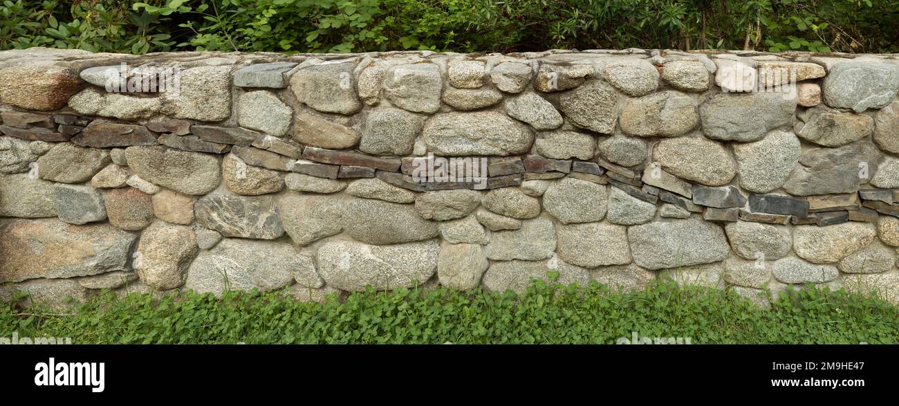 Detail of stone wall with green plants below Stock Photo
