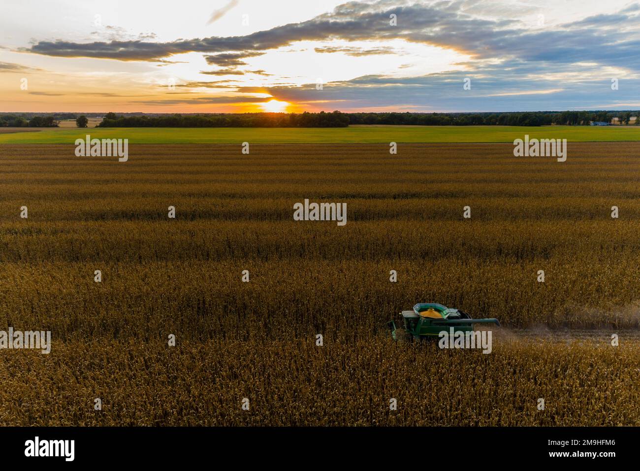 Aerial view of combine harvesting corn field at sunset, Marion County, Illinois, USA Stock Photo