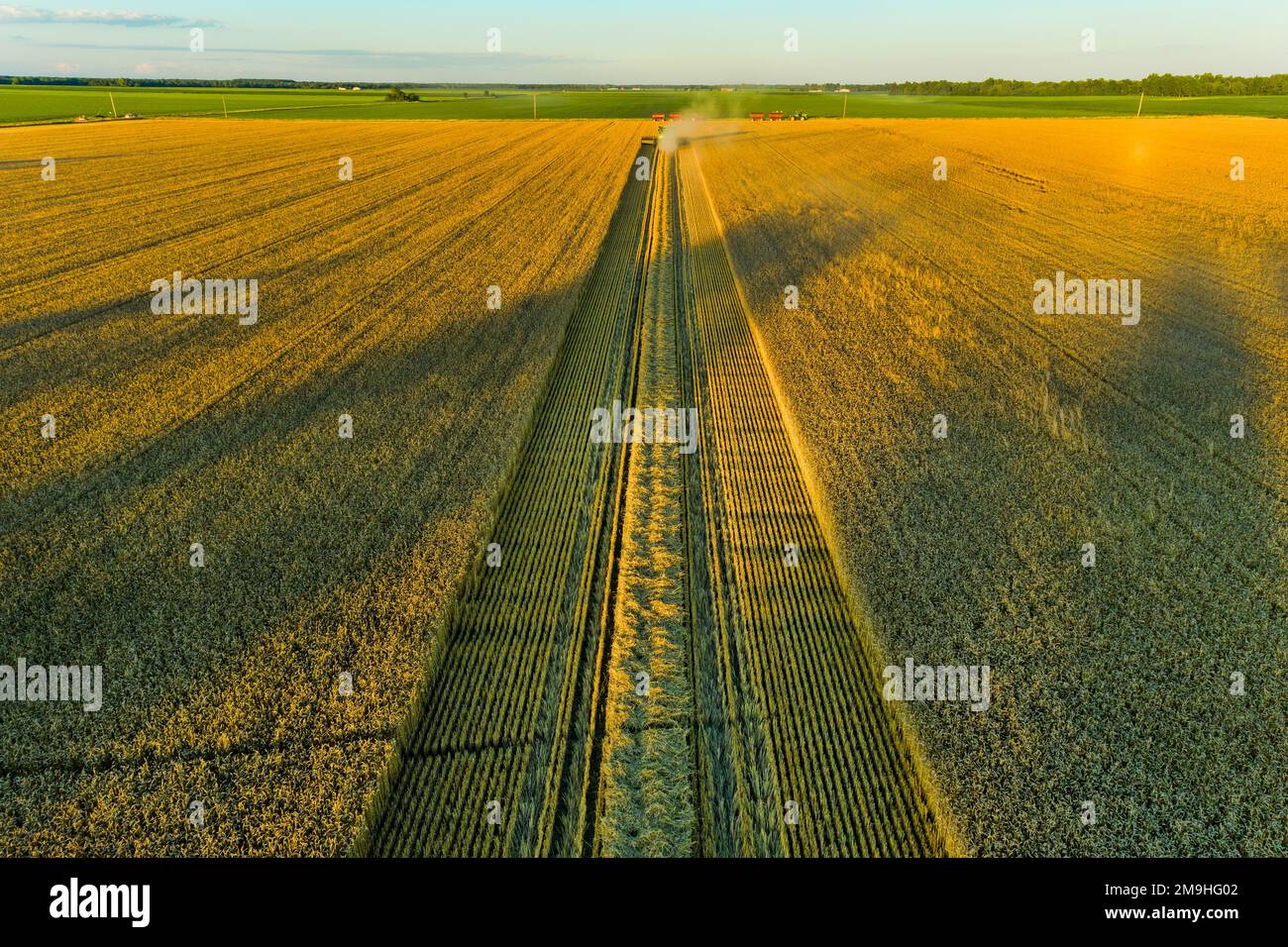 Aerial view of combine harvesting wheat at sunset, Marion County, Illinois, USA Stock Photo