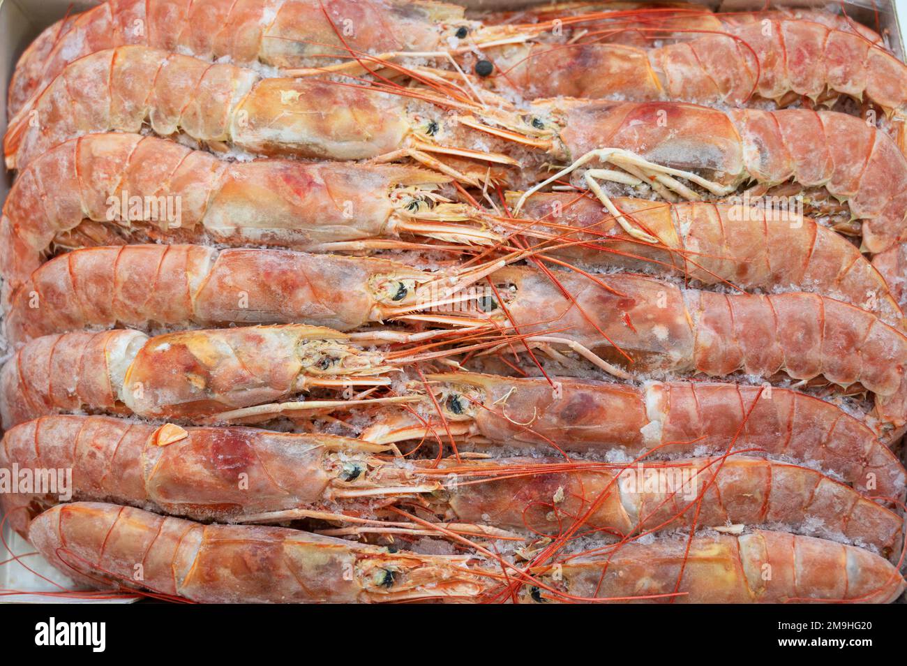 Frozen shrimp in fridge at the fish market. Healthy eating and fish