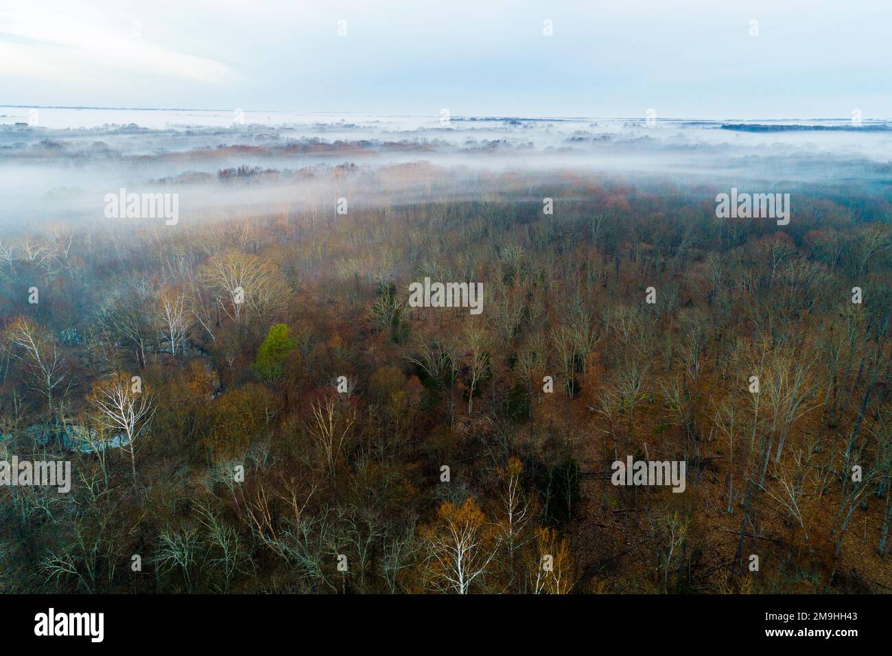 Aerial view of forest in fog at sunrise in autumn, Stephen A. Forbes State Park, Marion County, Illinois, USA Stock Photo