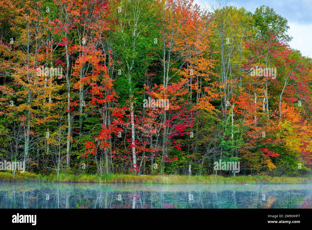 Forest in autumn colors reflecting in Thornton Lake, Alger County, Michigan, USA Stock Photo
