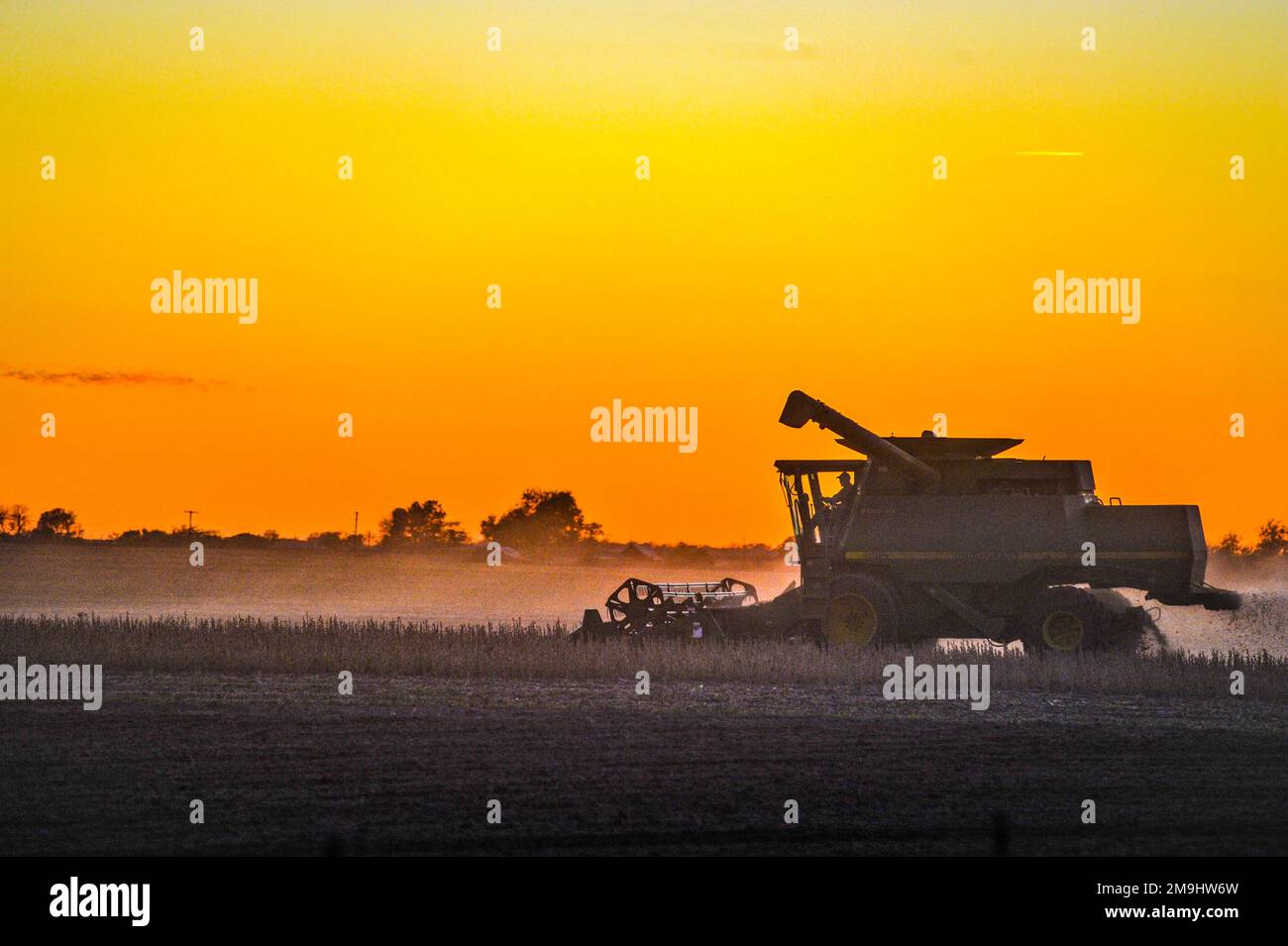 Combine harvester at sunrise on field Stock Photo