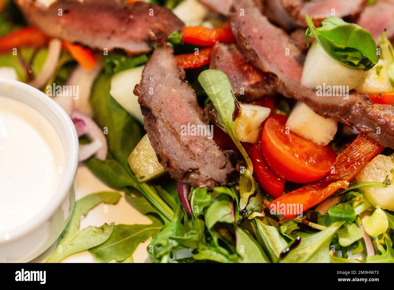 close up of meat with vegetable salad on plate Stock Photo