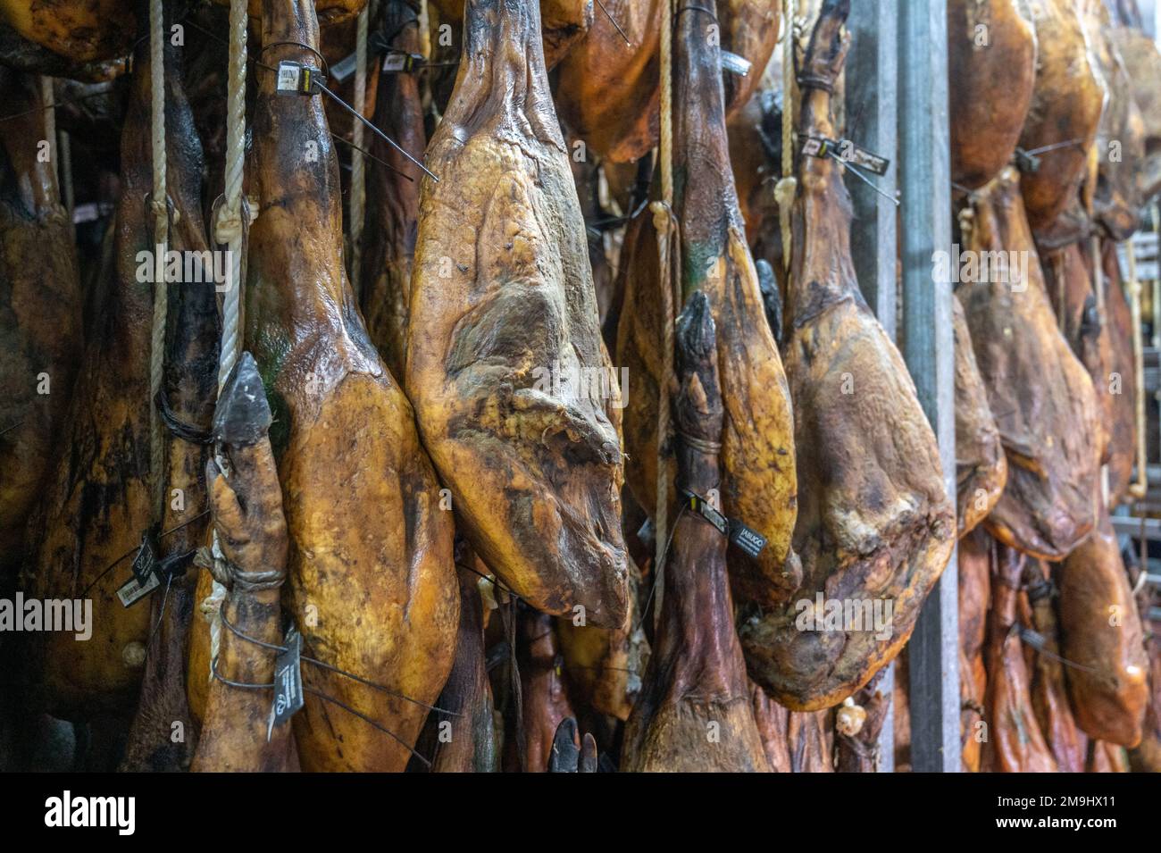Production of iberian ham (cured ham), Puerto Gil, Spain Stock Photo